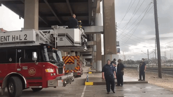 Firefighters Rescue Kitten Trapped Underneath St Louis Highway Overpass