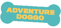 Dog Travel Sticker by visitnc