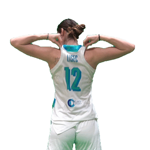 Lisec Sticker by Basketball Federation of Slovenia