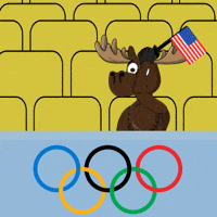 DoYouMoose usa america cheer support GIF