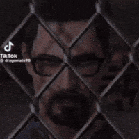Half Life Fire GIF