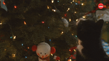 Cat Cant Touch This GIF by BuzzFeed