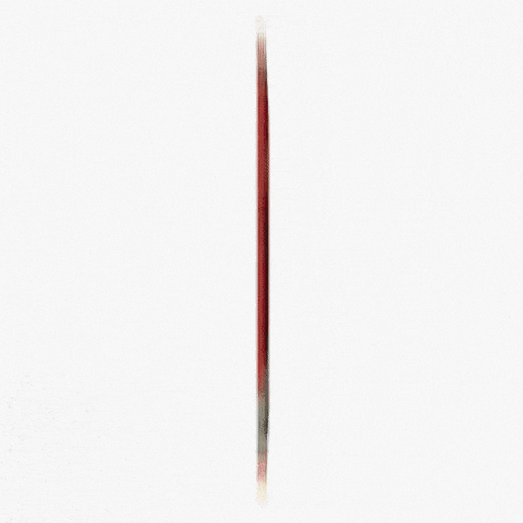 Lollapalooza Videographer GIF by Respective