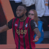 Shocked Premier League GIF by AFC Bournemouth