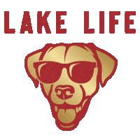 Luxury Real Estate Nh Sticker by Lake Life Realty