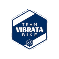 Vb Sticker by ASD Vibrata Bike