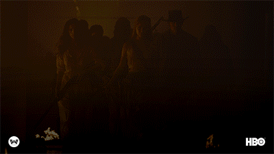 season 2 GIF by Westworld HBO