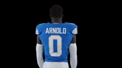 Nfl Intro GIF by Detroit Lions