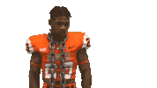 Clap Shrug Sticker by Carson-Newman Athletics