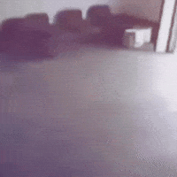 Security Camera GIF by Respective
