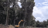 Car Driving GIF by Sad Hamster