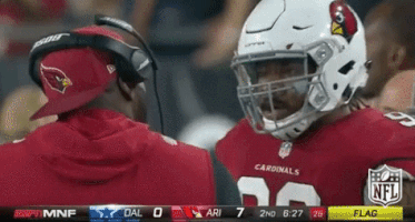Arizona Cardinals Football GIF by NFL