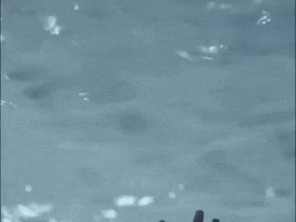 aurora aksnes glassnote music GIF by AURORA