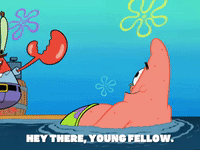 season 6 GIF by SpongeBob SquarePants
