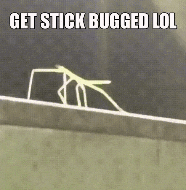 Stick Stickbug GIF