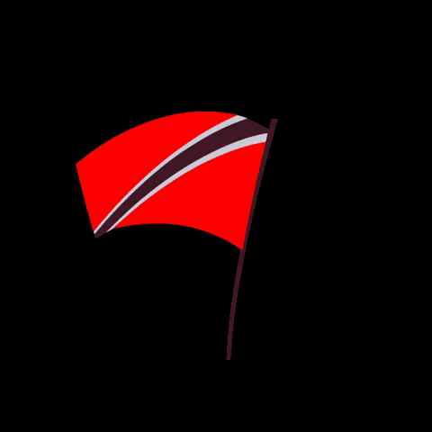 Flag Carnival GIF