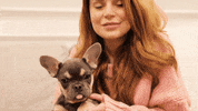 RosannaPansino cute dog dogs puppy GIF