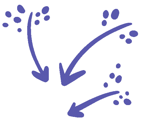 Art Illustration Sticker