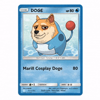 Shiba Inu Wow GIF by Doge Pound