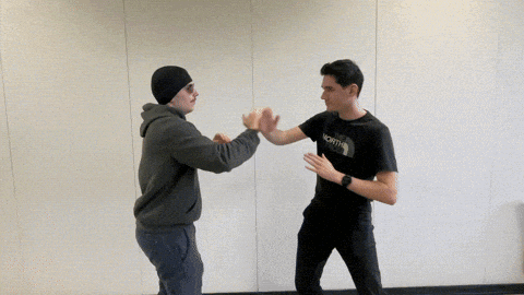 Final Battle Fight GIF