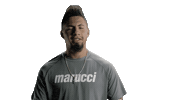 Gleyber Torres No Sticker by Marucci Sports