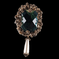 aidanandice accessories brooch aidanandice GIF