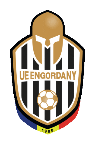 ue_engordany giphyupload soccer futbol team Sticker