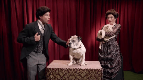 episode116are GIF by truTV’s Adam Ruins Everything