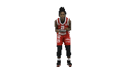 Basketball Hoops Sticker by Basket_fi