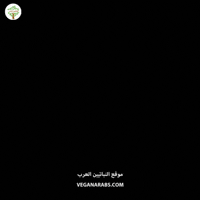 Faith Islam GIF by VeganArabs
