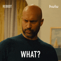 Tv Show What GIF by HULU
