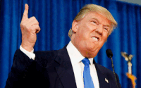 trump supporters GIF