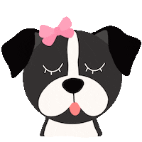 thepupcycle dog doggy boxer jacksonville Sticker