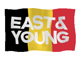 Flag Belgium Sticker by East & Young