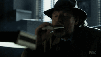 fox broadcasting GIF by Gotham
