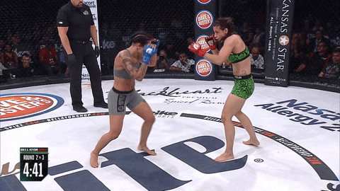 Knock Out Hair Flip GIF by Bellator