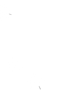Christmas Snow Sticker by S'Agapò Gioielli