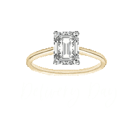 Deliver Just Married Sticker by Stroman Studios Calligraphy