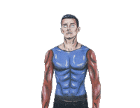 Sticker by Form Factory Fitness