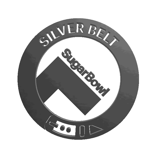 Event Ski Sticker by sugarbowl