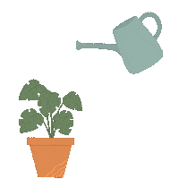 Spring Plants Sticker
