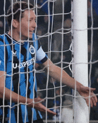 Fc Bruges GIF by Club Brugge