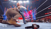 Wwe Wrestling GIF by USA Network