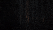 Lets Go Head Nod GIF by Xbox