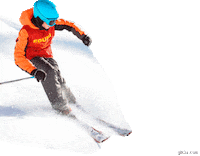 Snow Ski Sticker by Eduma