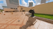 Miami Beach History GIF by Museum of Miami