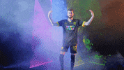 Meow Wolf Home Kit GIF by New Mexico United