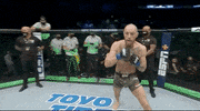 Conor Mcgregor Sport GIF by UFC