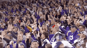 Minnesota Vikings Football GIF by NFL
