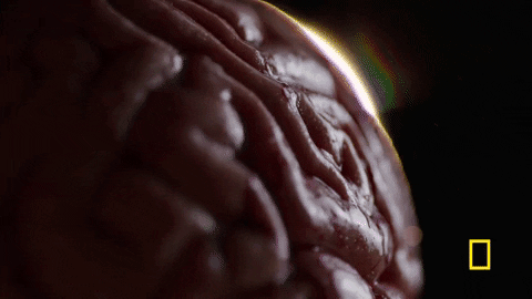 one strange rock GIF by National Geographic Channel